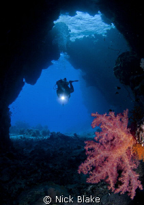 Soft corals in the St Johns Caves, Red Sea South. by Nick Blake 